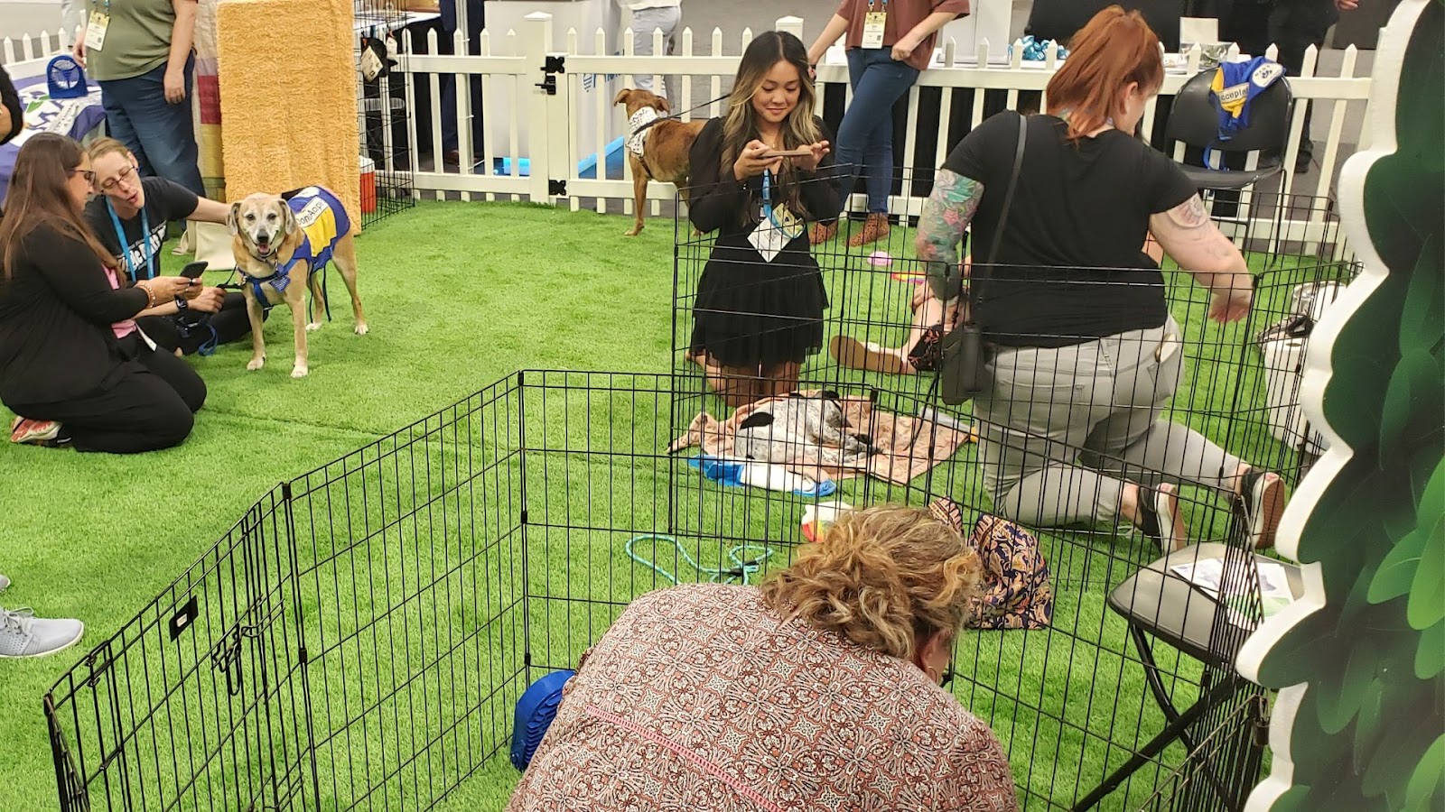 People petting dogs at Connect 2023